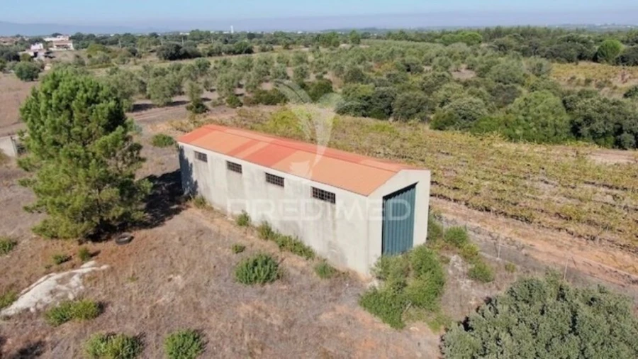 Terreno para Venda em Almoster Foto 4