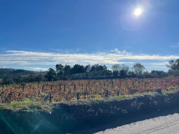 Terreno Agricola ou Rústico para Venda em Poiares e Canelas