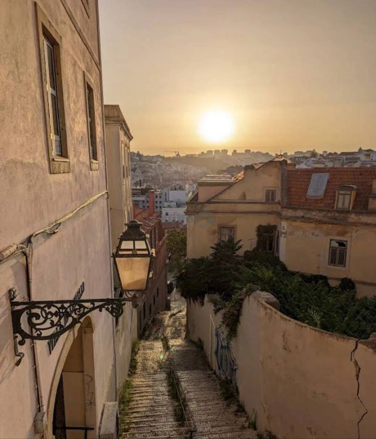 Prédio para Venda em Santa Maria Maior Foto 2