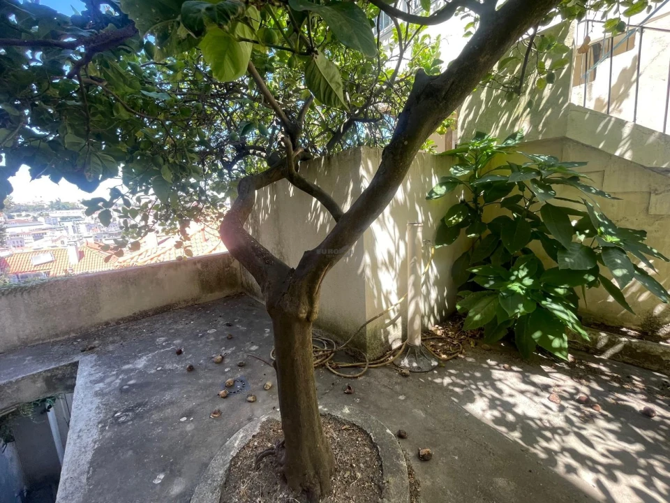 Prédio para Venda em Santa Maria Maior Foto 22