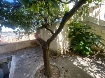 Prédio para Venda em Santa Maria Maior