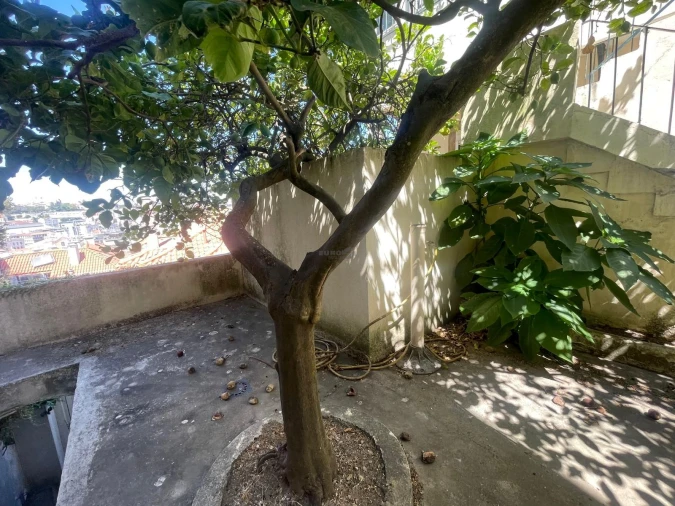 Prédio para Venda em Santa Maria Maior Foto 22
