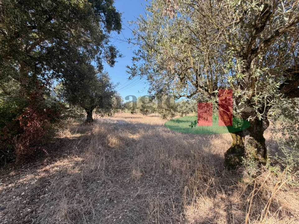 Terreno para Venda em Alcanede Foto 3