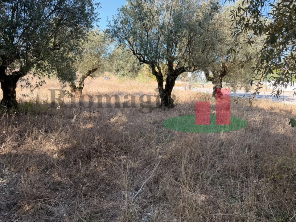 Terreno para Venda em Alcanede Foto 4