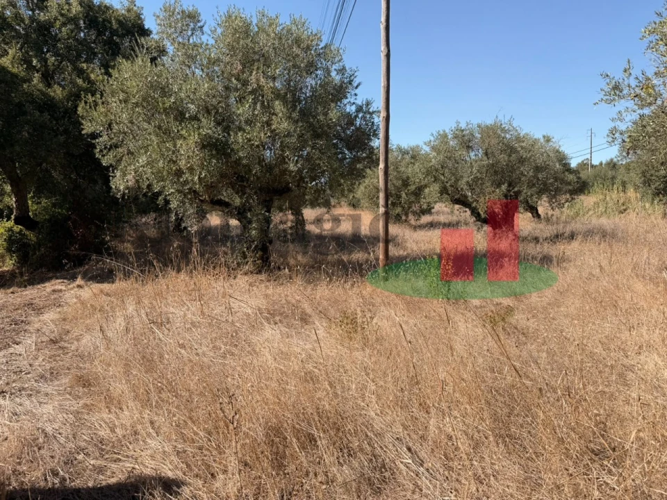 Terreno para Venda em Alcanede Foto 5