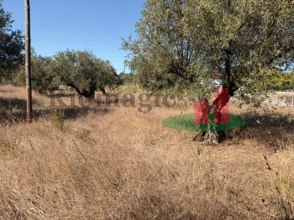 Terreno para Venda em Alcanede Foto 6