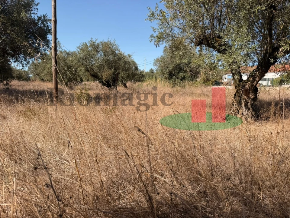 Terreno para Venda em Alcanede Foto 7