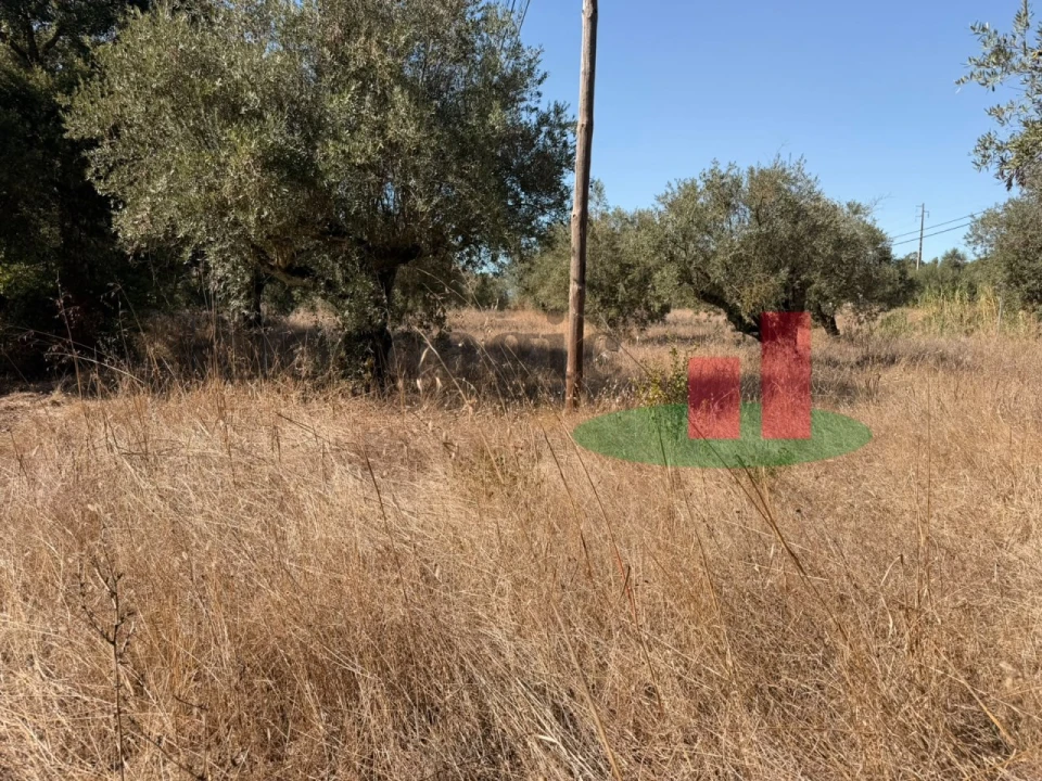 Terreno para Venda em Alcanede Foto 8