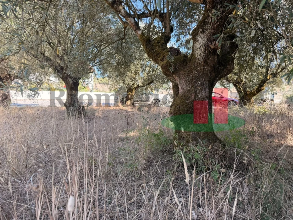 Terreno para Venda em Alcanede Foto 9
