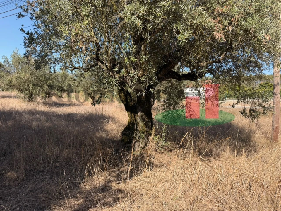 Terreno para Venda em Alcanede Foto 12
