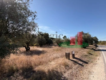 Terreno para Venda em Alcanede