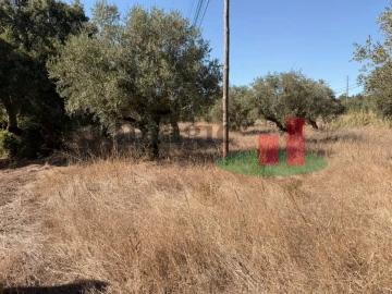 Terreno para Venda em Alcanede