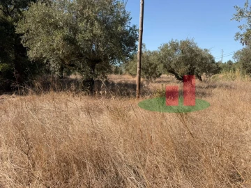 Terreno para Venda em Alcanede