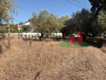 Terreno para Venda em Alcanede