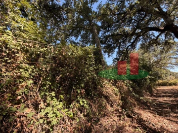 Terreno para Venda em Alcanede