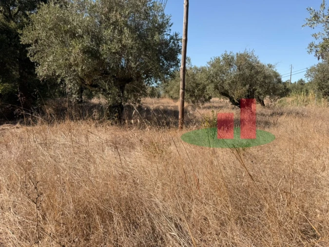 Terreno para Venda em Alcanede Foto 8
