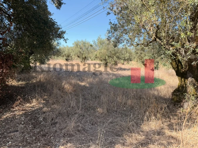 Terreno para Venda em Alcanede Foto 10