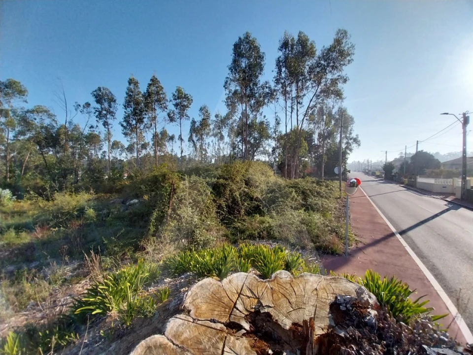Terreno para Venda em Ovar, São João, Arada e São Vicente de Pereira Jusã Foto 2