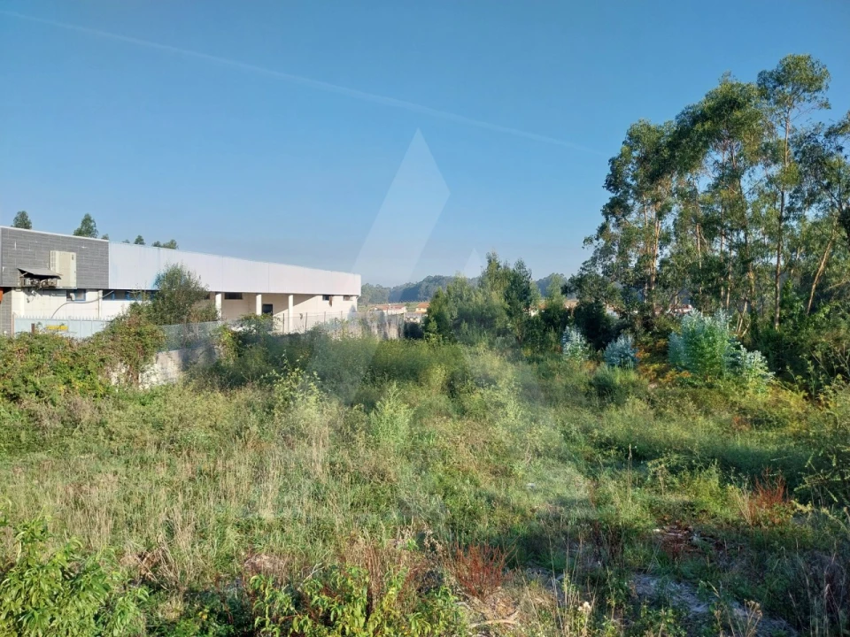 Terreno para Venda em Ovar, São João, Arada e São Vicente de Pereira Jusã Foto 5