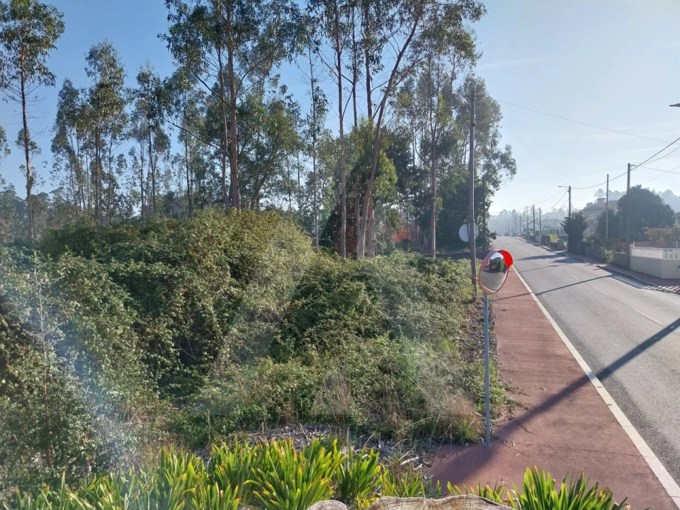 Terreno para Venda em Ovar, São João, Arada e São Vicente de Pereira Jusã Foto 7
