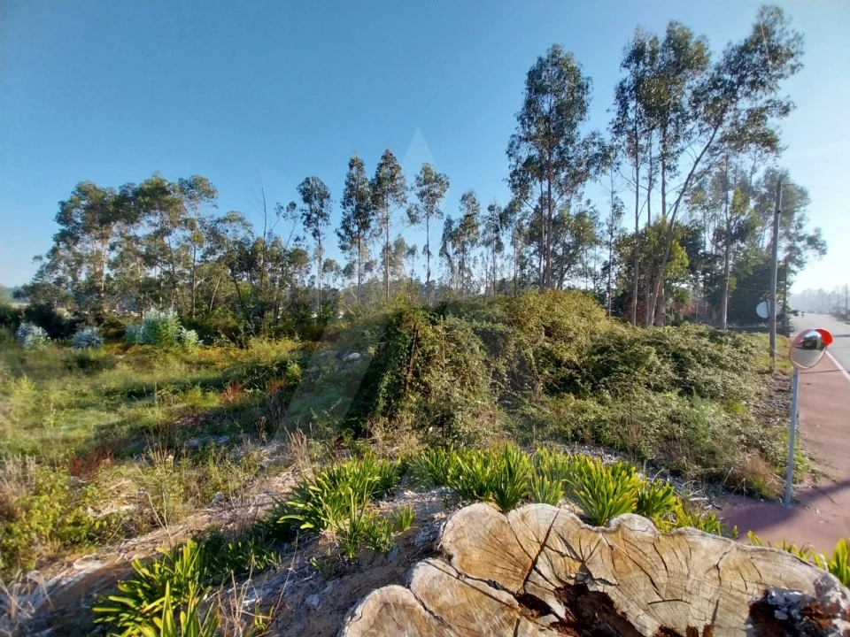 Terreno para Venda em Ovar, São João, Arada e São Vicente de Pereira Jusã Foto 8