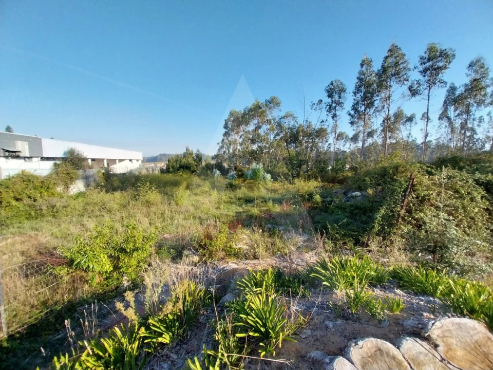 Terreno para Venda em Ovar, São João, Arada e São Vicente de Pereira Jusã Foto 9