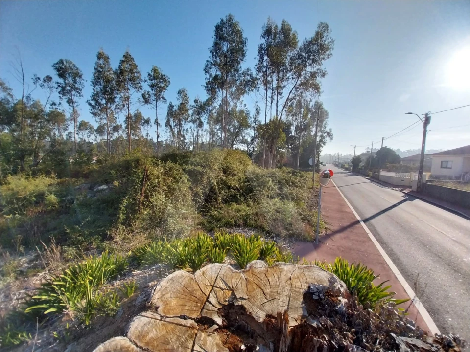 Terreno para Venda em Ovar, São João, Arada e São Vicente de Pereira Jusã Foto 10