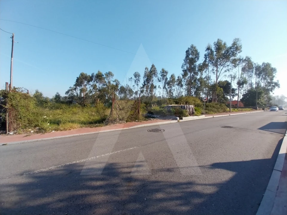 Terreno para Venda em Ovar, São João, Arada e São Vicente de Pereira Jusã Foto 1