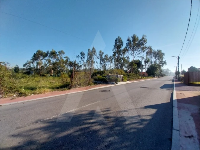 Terreno para Venda em Ovar, São João, Arada e São Vicente de Pereira Jusã Foto 12