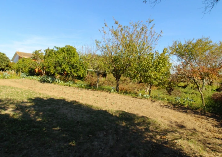 Moradia T4 para Venda em Oliveirinha Foto 4