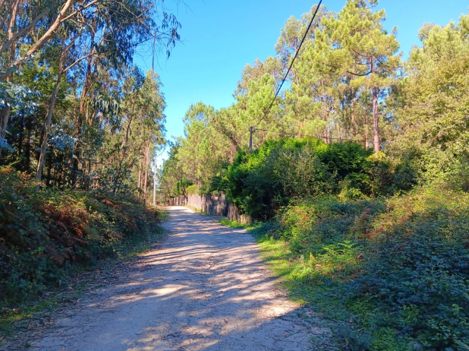 Quinta para Venda em Guilhabreu Foto 2