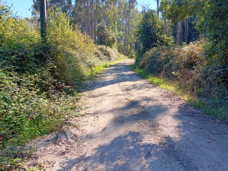 Quinta para Venda em Guilhabreu Foto 3