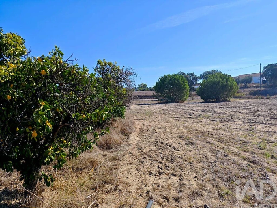 Terreno para Venda em Coruche, Fajarda e Erra Foto 14