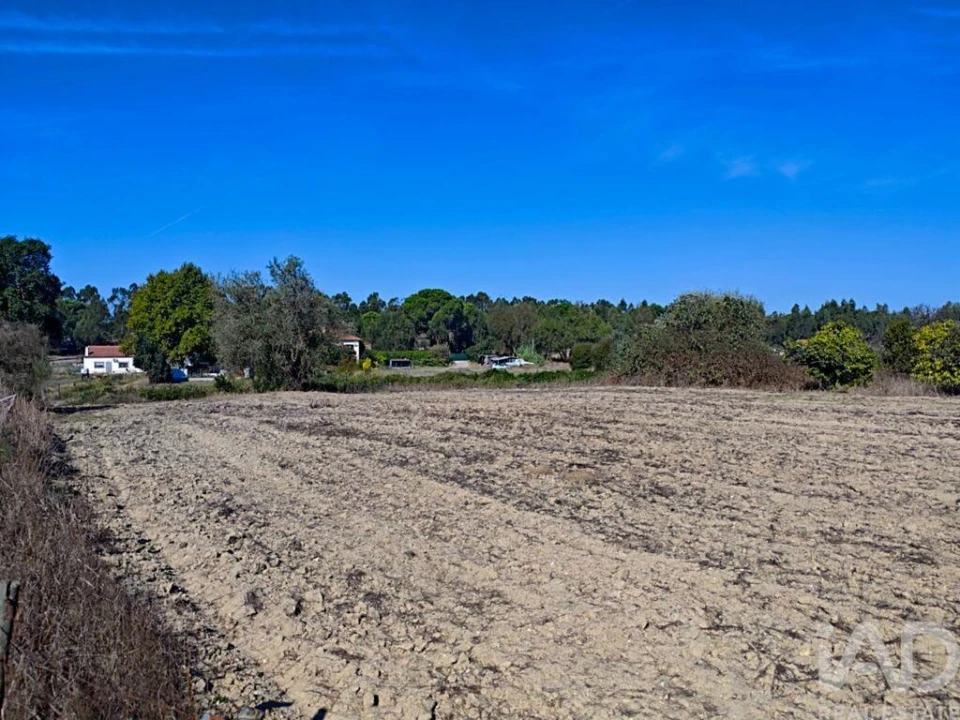 Terreno para Venda em Coruche, Fajarda e Erra Foto 17
