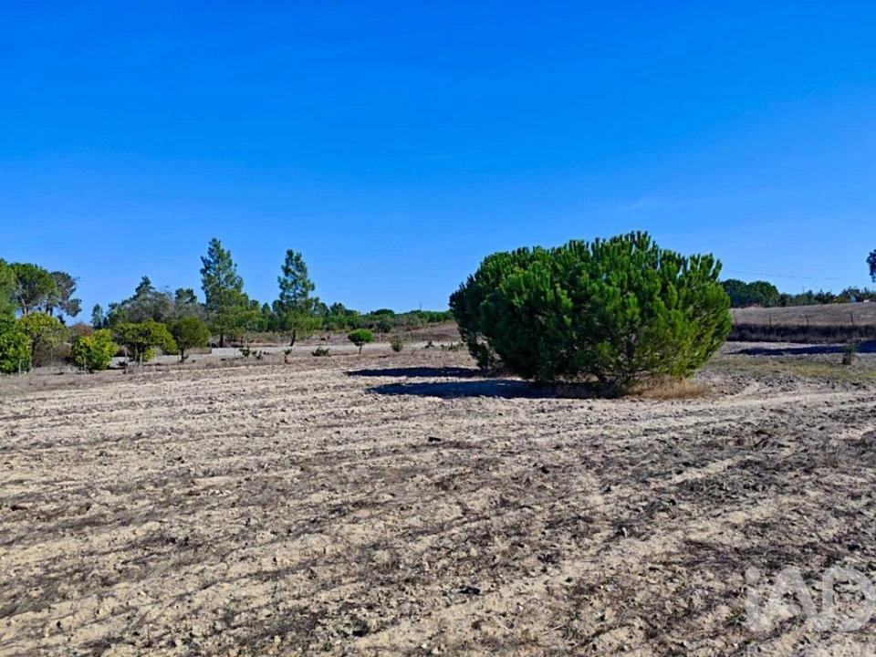 Terreno para Venda em Coruche, Fajarda e Erra Foto 18