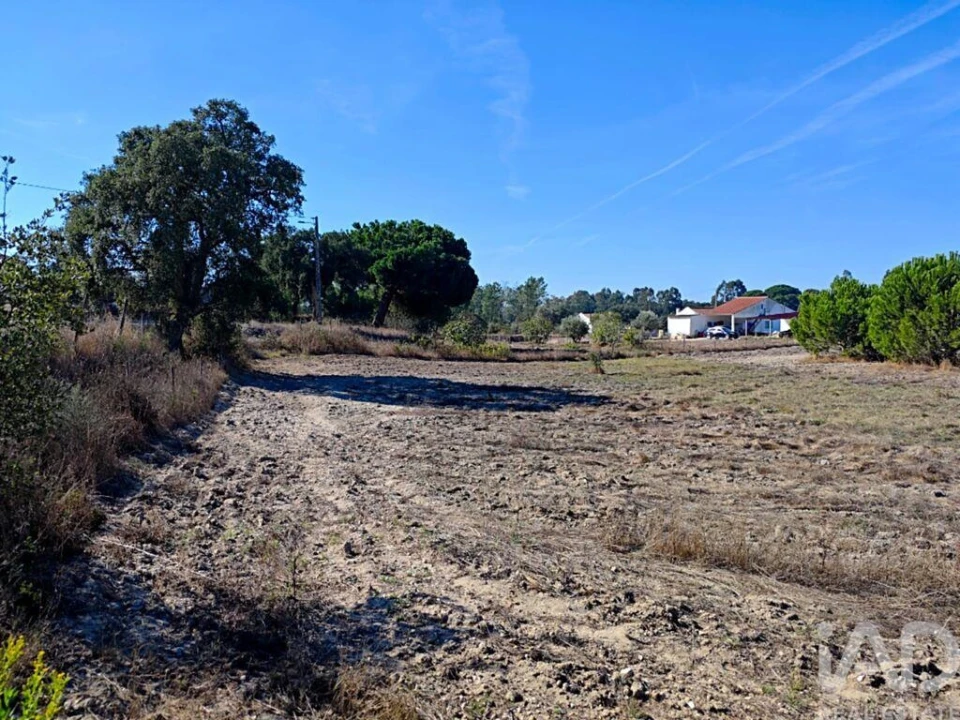 Terreno para Venda em Coruche, Fajarda e Erra Foto 13