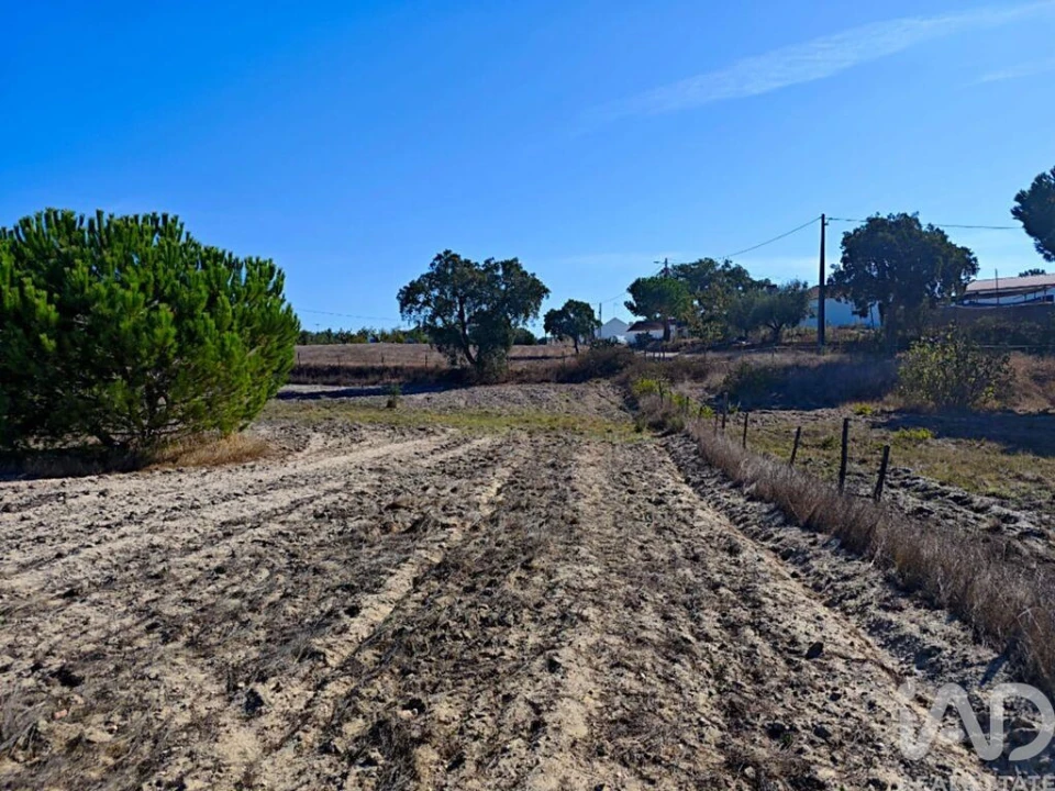 Terreno para Venda em Coruche, Fajarda e Erra Foto 16