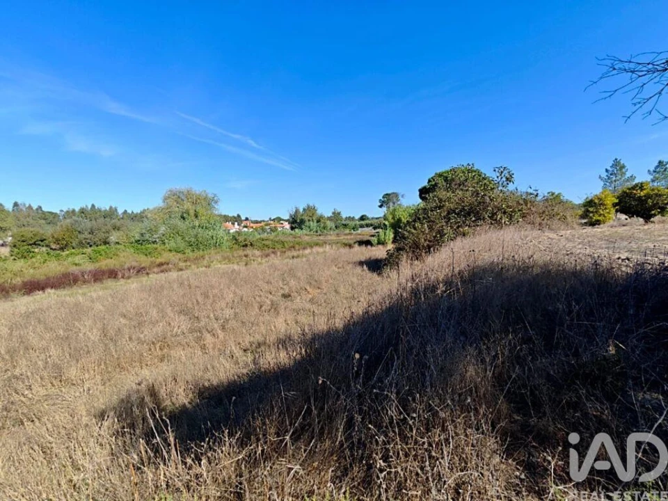 Terreno para Venda em Coruche, Fajarda e Erra Foto 7