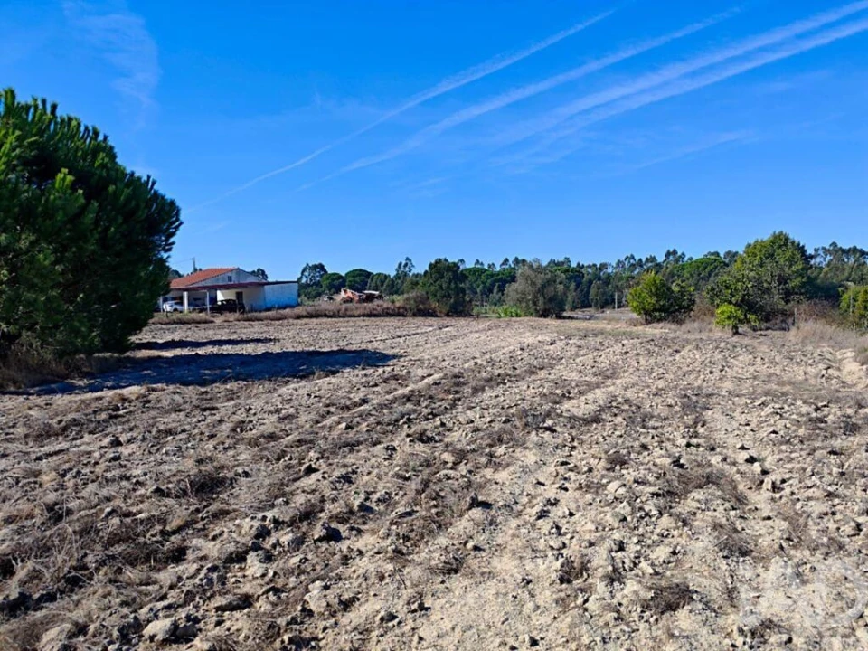 Terreno para Venda em Coruche, Fajarda e Erra Foto 12
