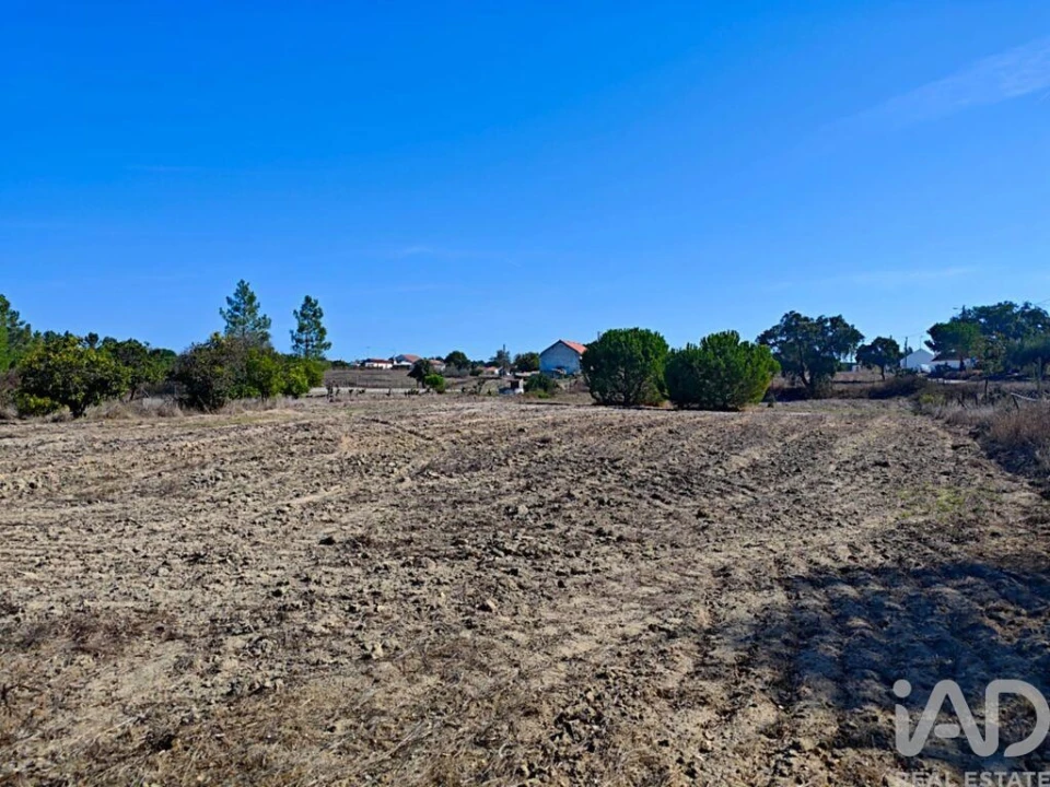Terreno para Venda em Coruche, Fajarda e Erra Foto 4