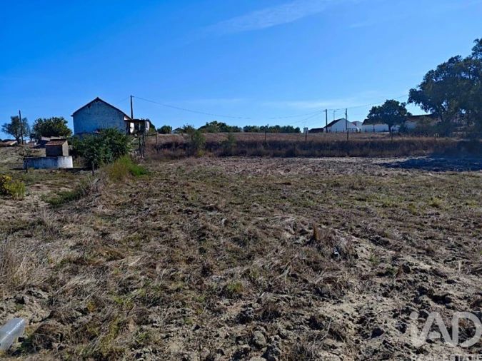 Terreno para Venda em Coruche, Fajarda e Erra Foto 6