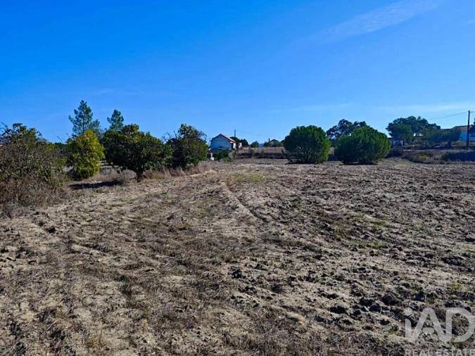 Terreno para Venda em Coruche, Fajarda e Erra Foto 5
