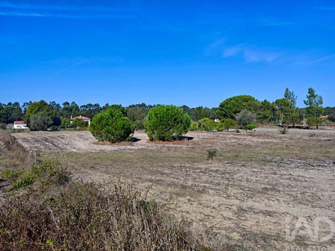 Terreno para Venda em Coruche, Fajarda e Erra Foto 15