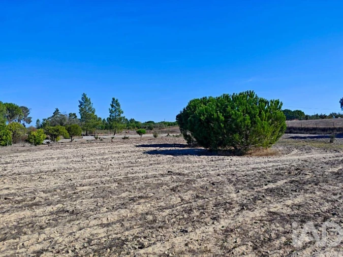 Terreno para Venda em Coruche, Fajarda e Erra Foto 18