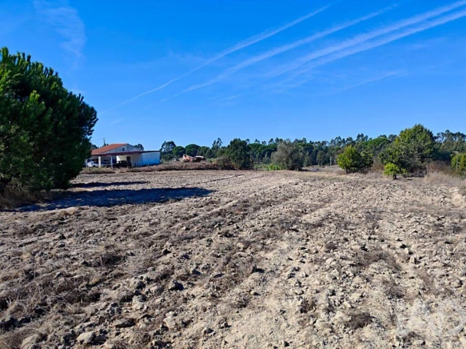 Terreno para Venda em Coruche, Fajarda e Erra Foto 12