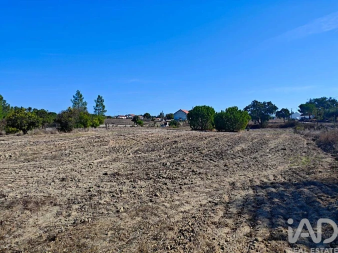 Terreno para Venda em Coruche, Fajarda e Erra Foto 4