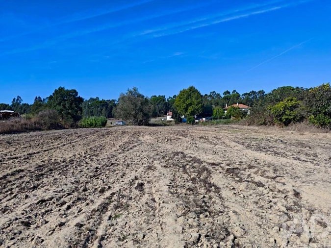 Terreno para Venda em Coruche, Fajarda e Erra Foto 3