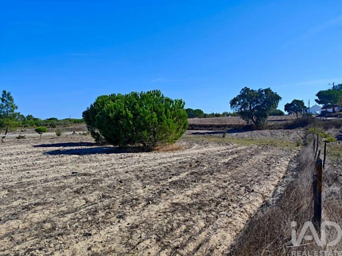 Terreno para Venda em Coruche, Fajarda e Erra Foto 19