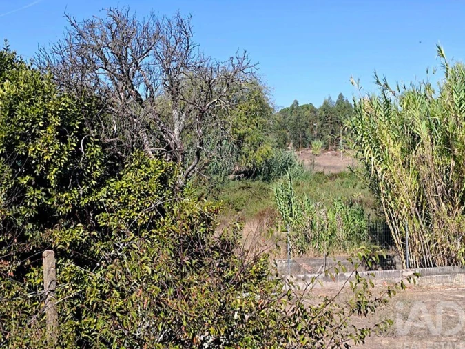 Terreno para Venda em Coruche, Fajarda e Erra Foto 8