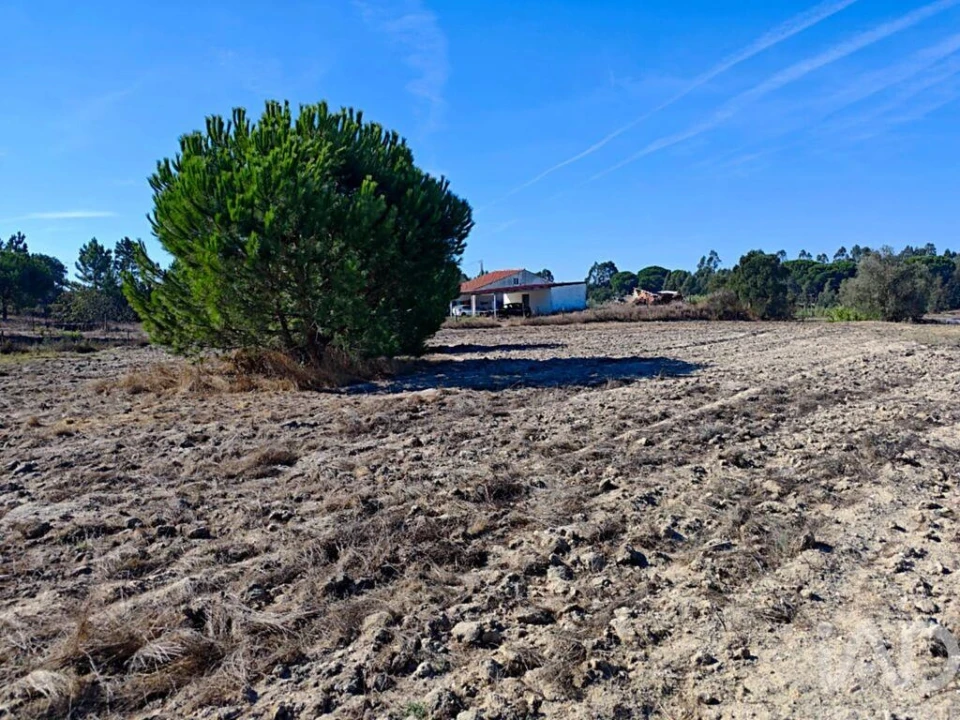 Terreno para Venda em Coruche, Fajarda e Erra Foto 11